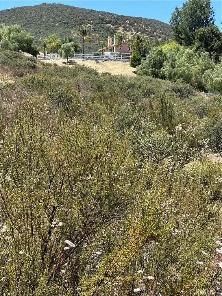 1 Carol, Menifee, CA 92584 - #3