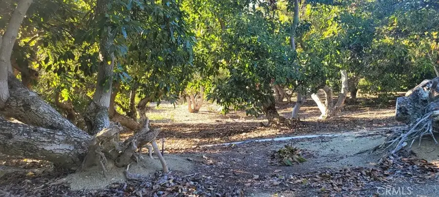 16 Camaron, Temecula, CA 92590 - #3