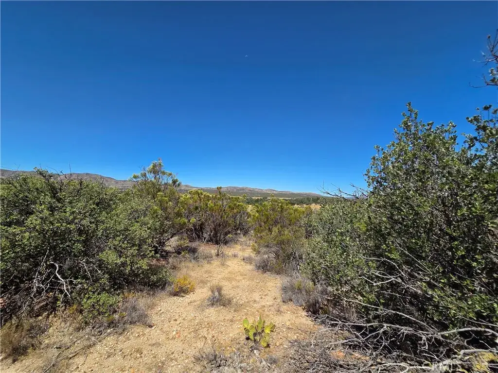 1 Terwilliger, Anza, CA 92539 - #1