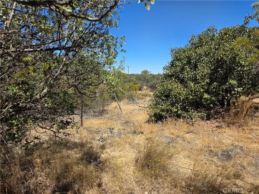 1 Terwilliger, Anza, CA 92539 - #3