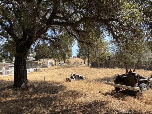 0 Cleveland Forest, Campo, CA 91906 - #1
