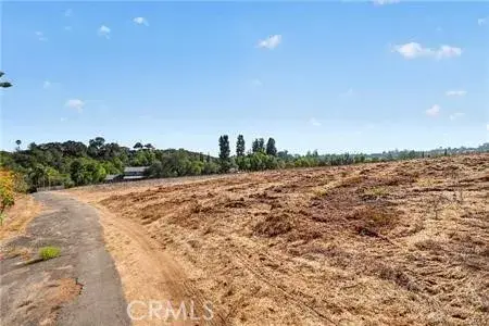 982 Live Oak Park, Fallbrook, CA 92028 - #3