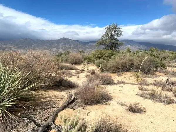 368 Palm Canyon, Mountain Center, CA 92561