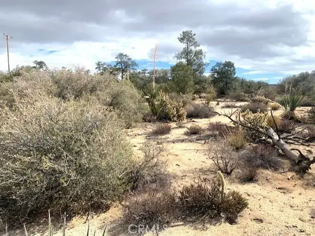 368 Palm Canyon, Mountain Center, CA 92561 - #3