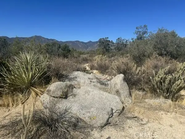 319 Alpine Dr, Mountain Center, CA 92561