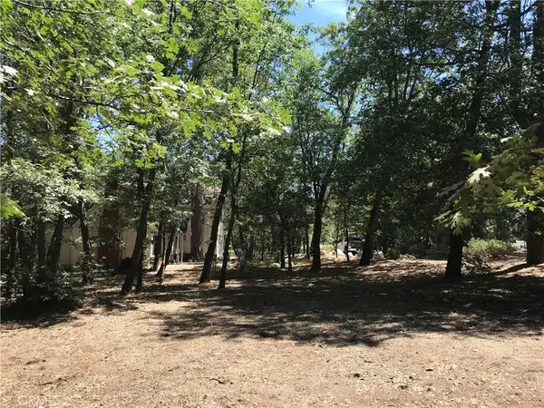 0 North Shore, Lake Arrowhead, CA 92352