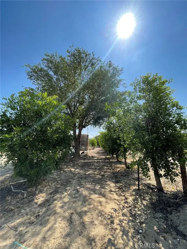 10849 Barstow Road, Lucerne Valley, CA 92356 - #3