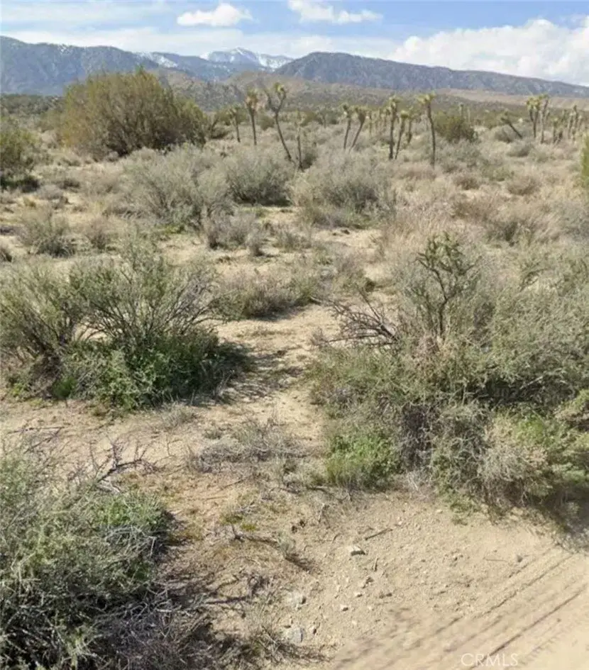 0 E Avenue Z, Llano, CA 93544 - #1