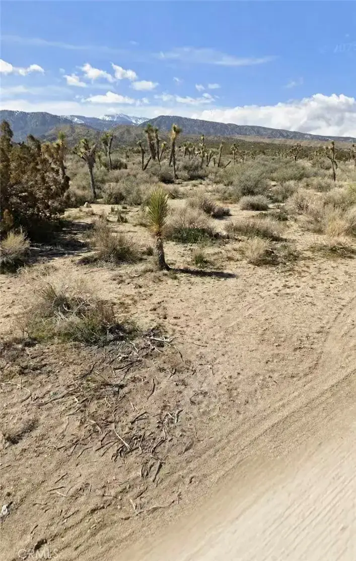 0 E Avenue Z, Llano, CA 93544 - #2