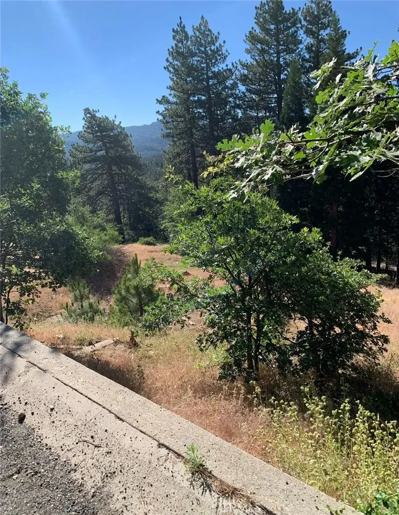 31533 Circle View, Running Springs, CA 92382 - #1