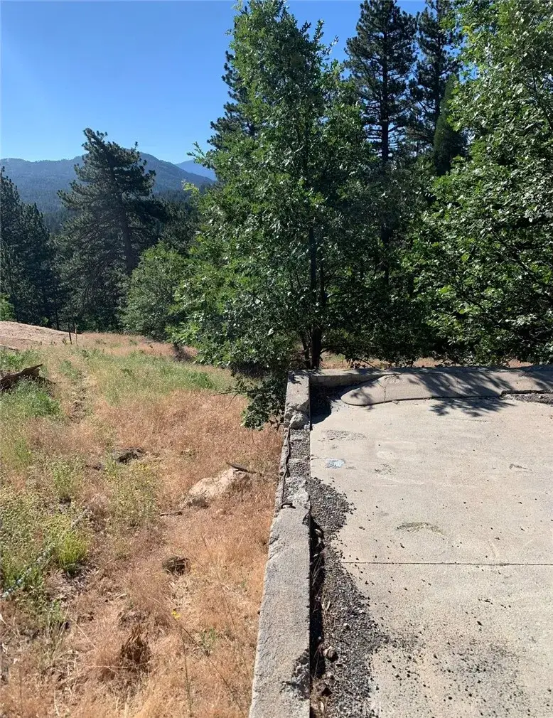 31533 Circle View, Running Springs, CA 92382 - #2
