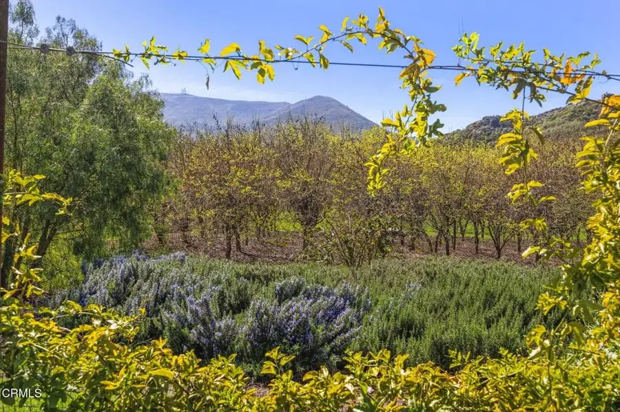4620 Casitas Pass Road, San Buenaventura Ventura, CA 93001 - #2