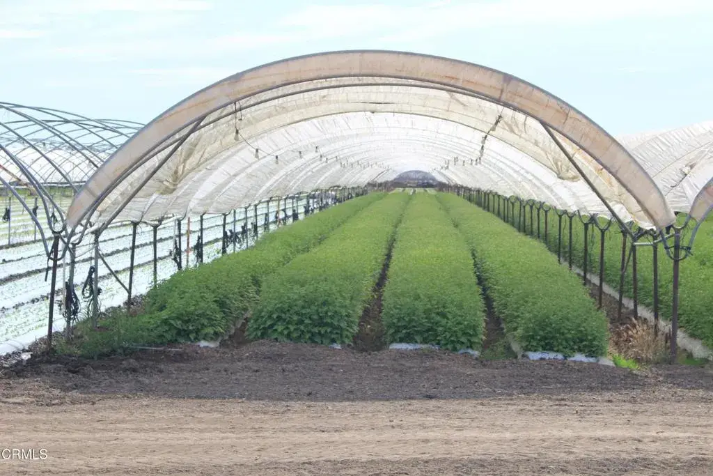 0 Wood, Oxnard, CA 93033 - Image #1