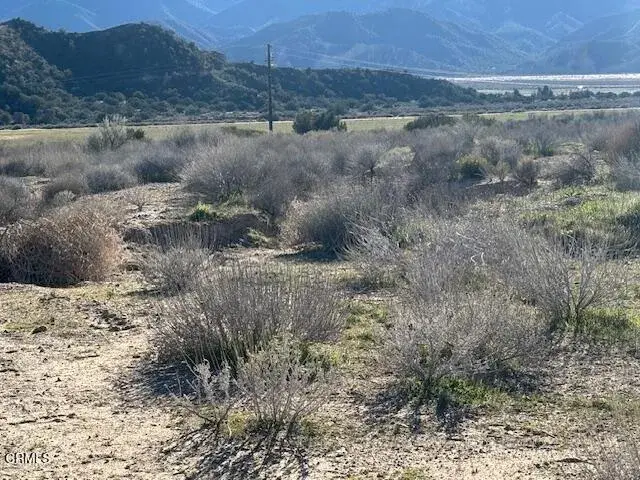 520 Quatal Canyon, Cuyama, CA 93254 - #3