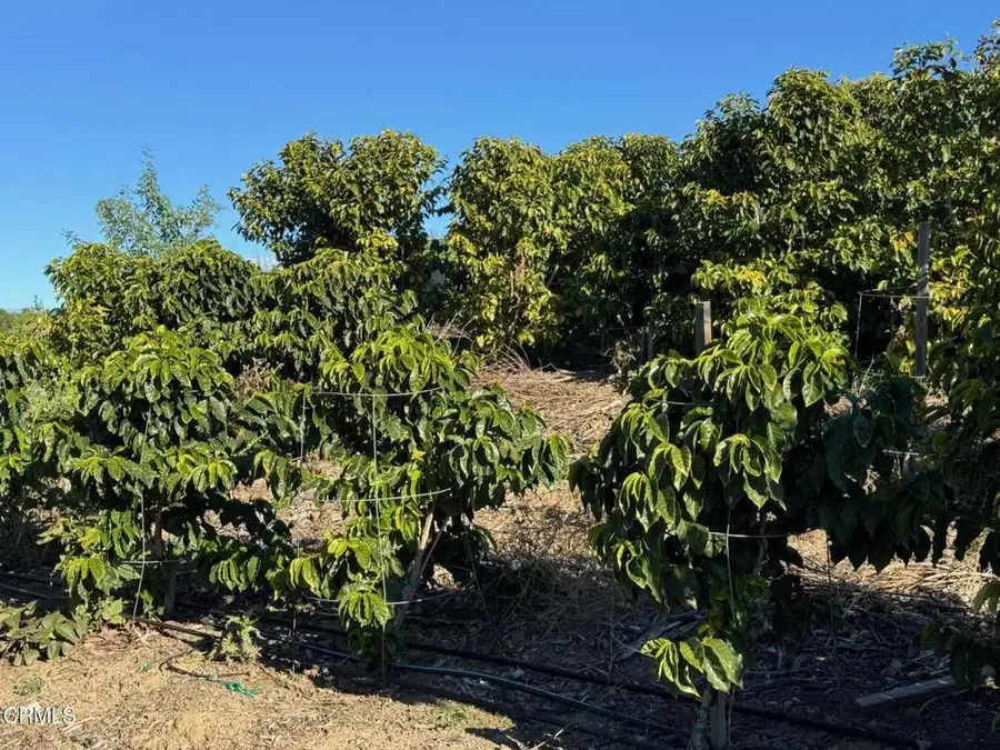 4305 Groves, Somis, CA 93066 - #3