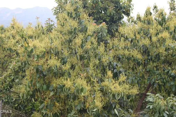 0 Camulos, Piru, CA 93040