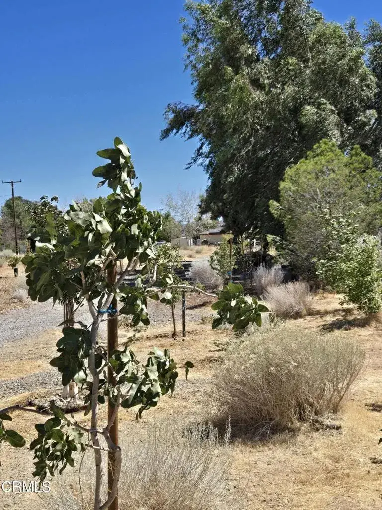 0 W Cor 12thw Avenue N-8, Palmdale, CA 93550 - #3