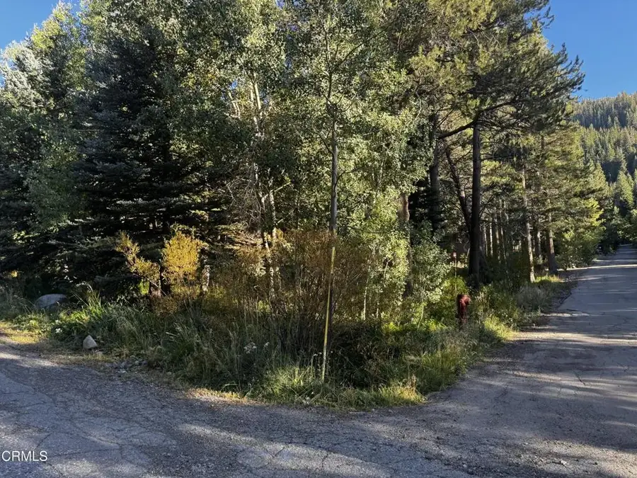 Aspen Grove, June Lake, CA 93529 - #2