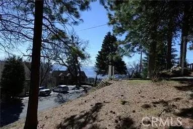 2458 Spring Oak, Running Springs, CA 92382 - #2