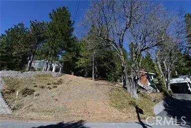 2458 Spring Oak, Running Springs, CA 92382 - #3