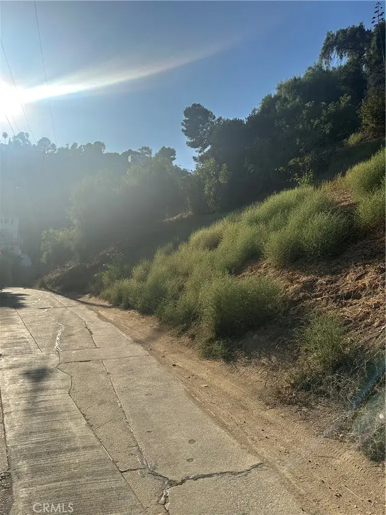 540 Rustic Dr, Los Angeles, CA 90065 - #3