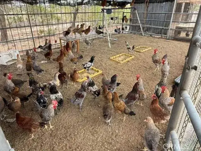 33979 Fremont Rd, Newberry Springs, CA 92365 - #2