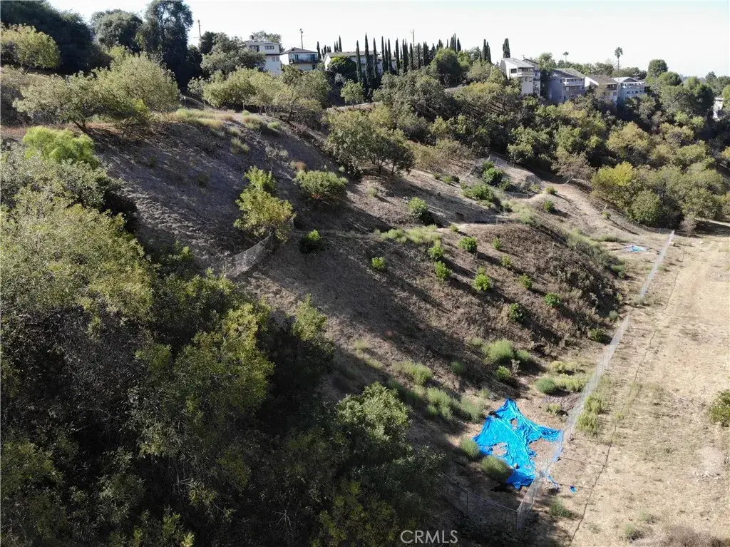 2105 Moss, Los Angeles, CA 90065 - #1