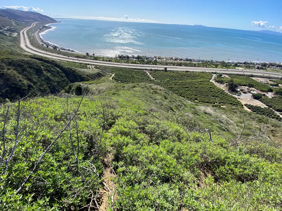 3945 Pacific Coast Highway, San Buenaventura Ventura, CA 93001 - #2