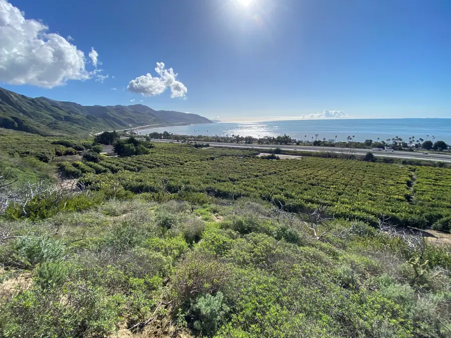 3945 Pacific Coast Highway, San Buenaventura Ventura, CA 93001 - #3