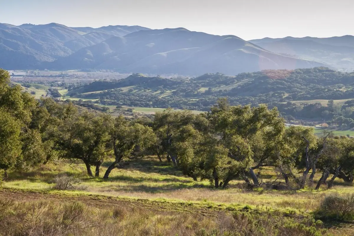0 Cougar Ridge Road, Buellton, CA 93427 - #1