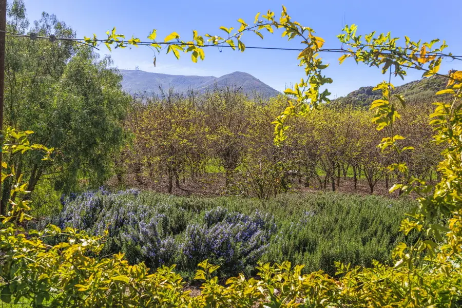 4620 Casitas Pass Road, San Buenaventura Ventura, CA 93001 - #3