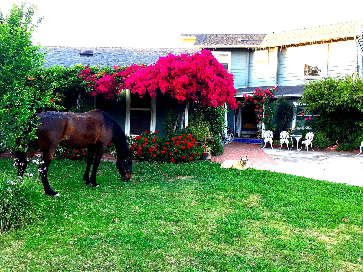 4156 Vista Clara Road, Santa Barbara, CA 93110 - #1