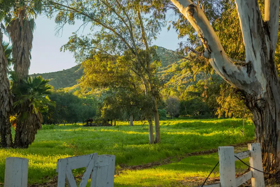 1519 Ayers Avenue, Ojai, CA 93023 - #2