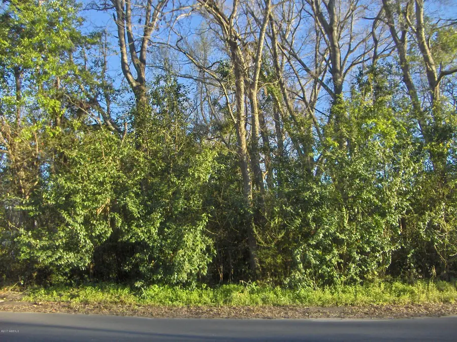 000 Georgia Avenue, Barnwell, SC 29812 - Image #3