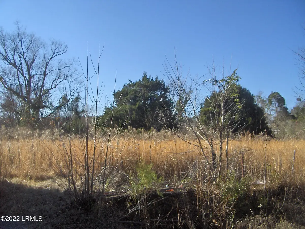 Tbd Barwick Road, Barnwell, SC 29812 - Image #1