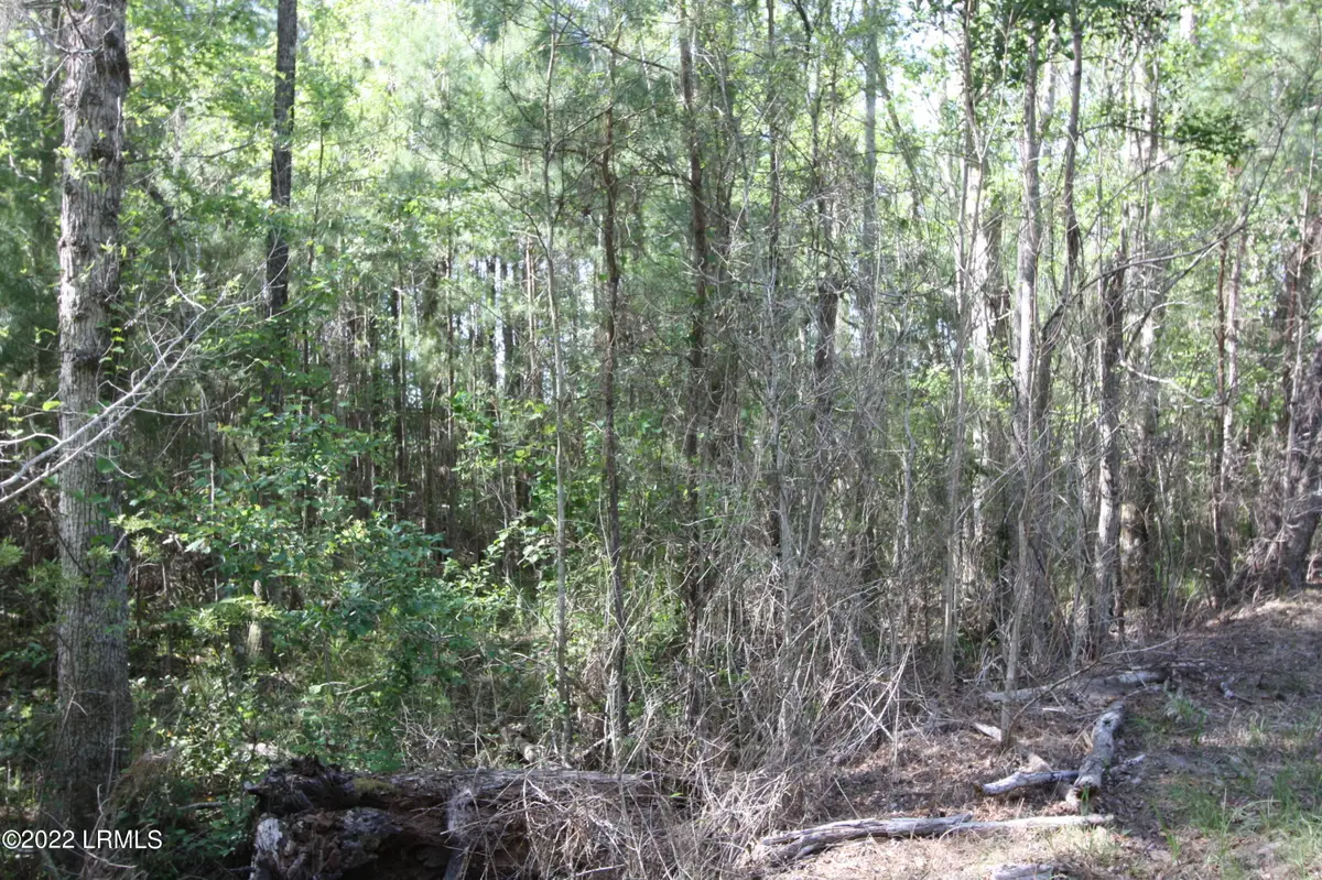 Tbd Halifax Circle, Saint Helena Island, SC 29920 - #1