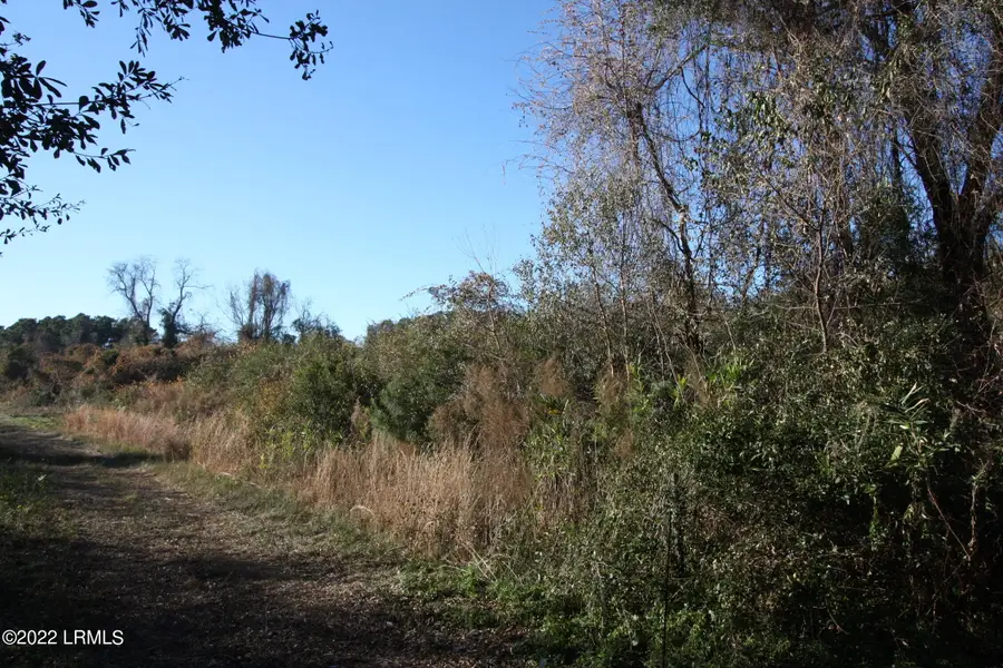 Tbd Halifax Circle, Saint Helena Island, SC 29920 - #2