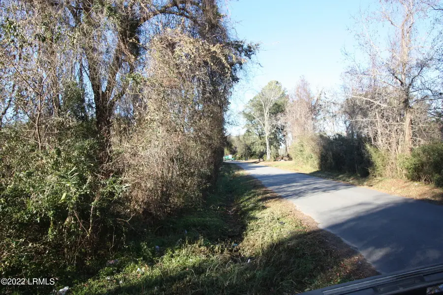 Tbd Halifax Circle, Saint Helena Island, SC 29920 - #3