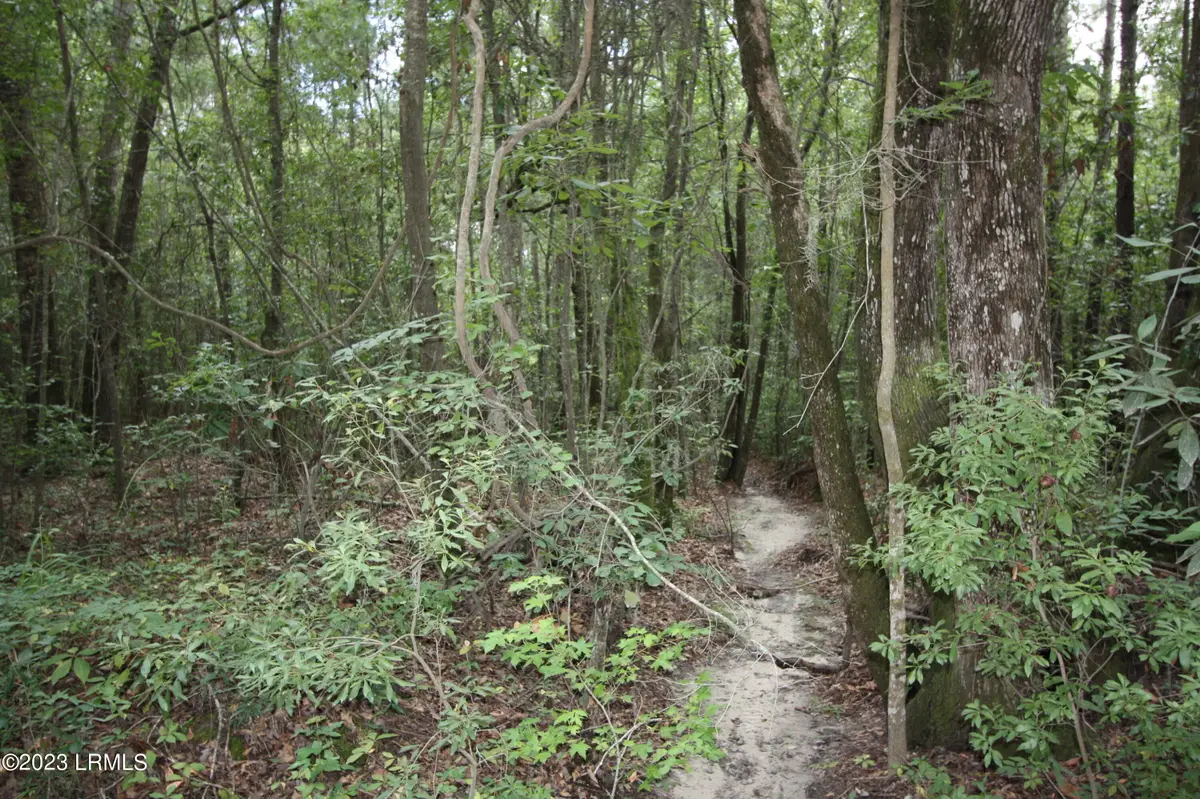 60 Wadley Street, Furman, SC 29921 - Image #1