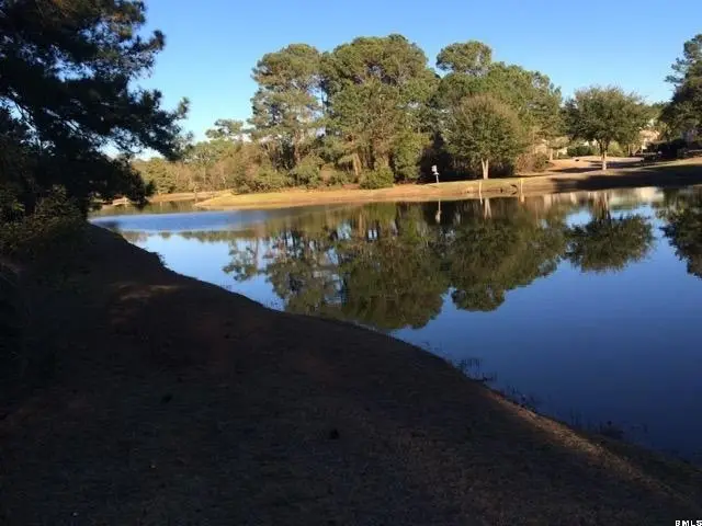 1453 Gleasons Landing Drive, Saint Helena Island, SC 29920 - Image #2