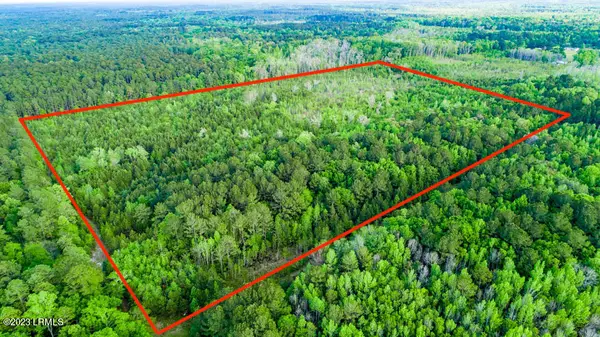 Tbd Dunham Williams Road, Hardeeville, SC 29927