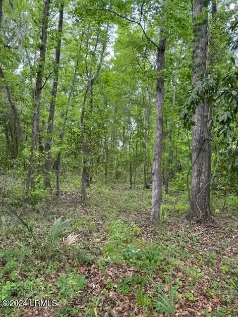 335 Charleston Highway, Yemassee, SC 29945 - Image #3