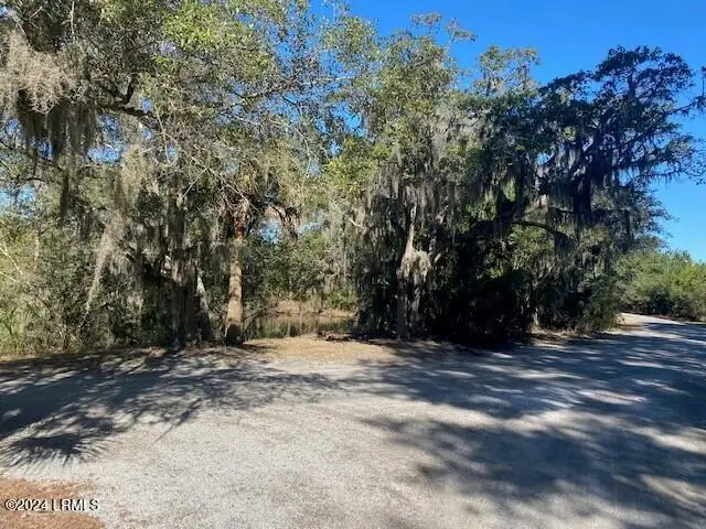 18 Net Weavers Place, Saint Helena Island, SC 29920 - #3