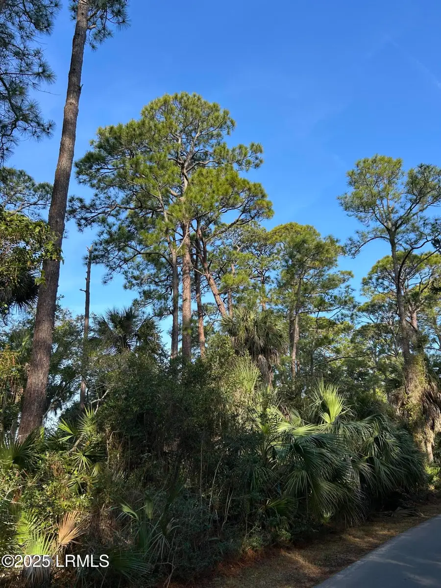 16 Lakeview Lane, Harbor Island, SC 29920 - Image #2