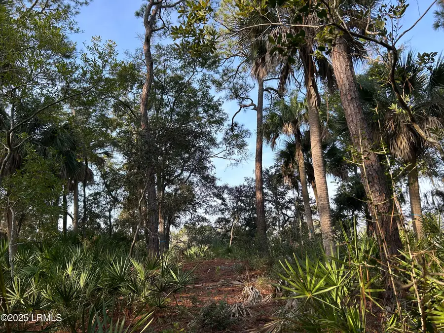 16 Lakeview Lane, Harbor Island, SC 29920 - Image #3