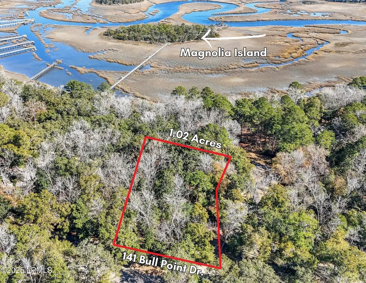141 Bull Point Drive, Seabrook, SC 29940 - #1