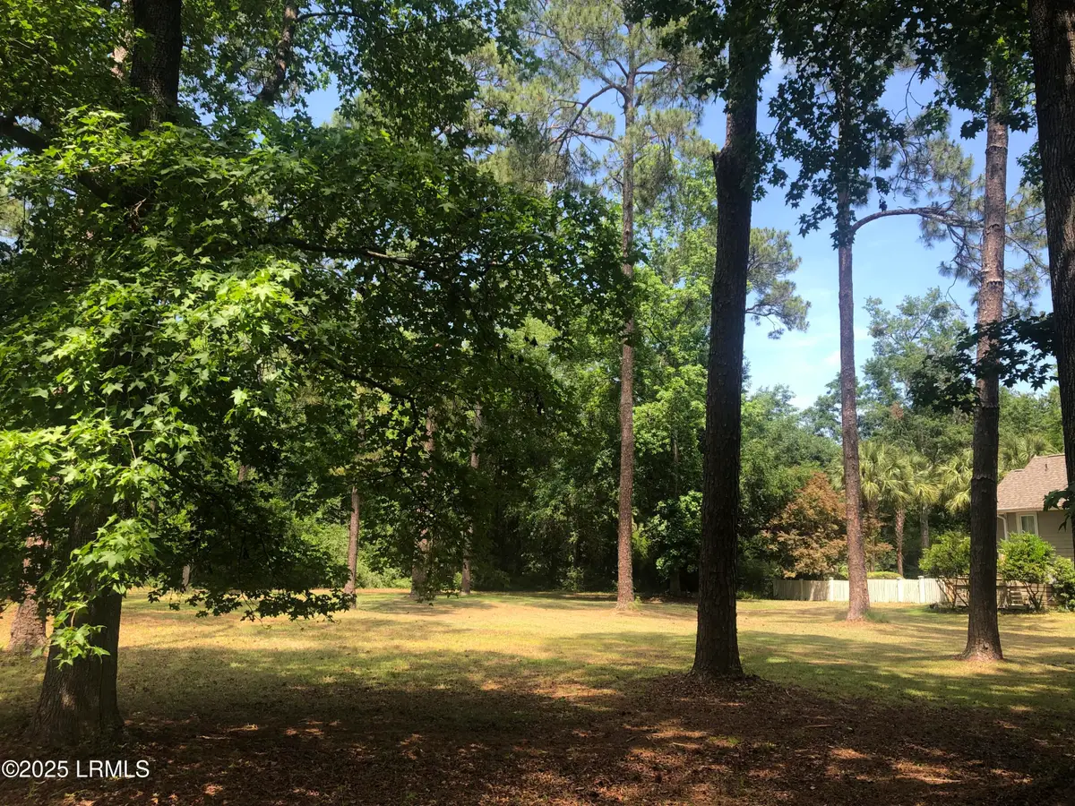 325 Distant Island Drive, Beaufort, SC 29907 - Image #1