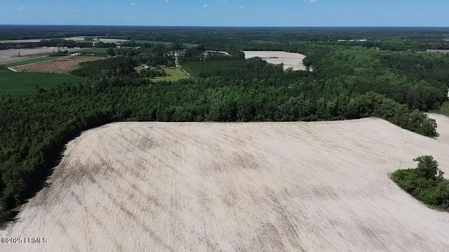 0000 Burnell Road, Estill, SC 29918 - Image #3
