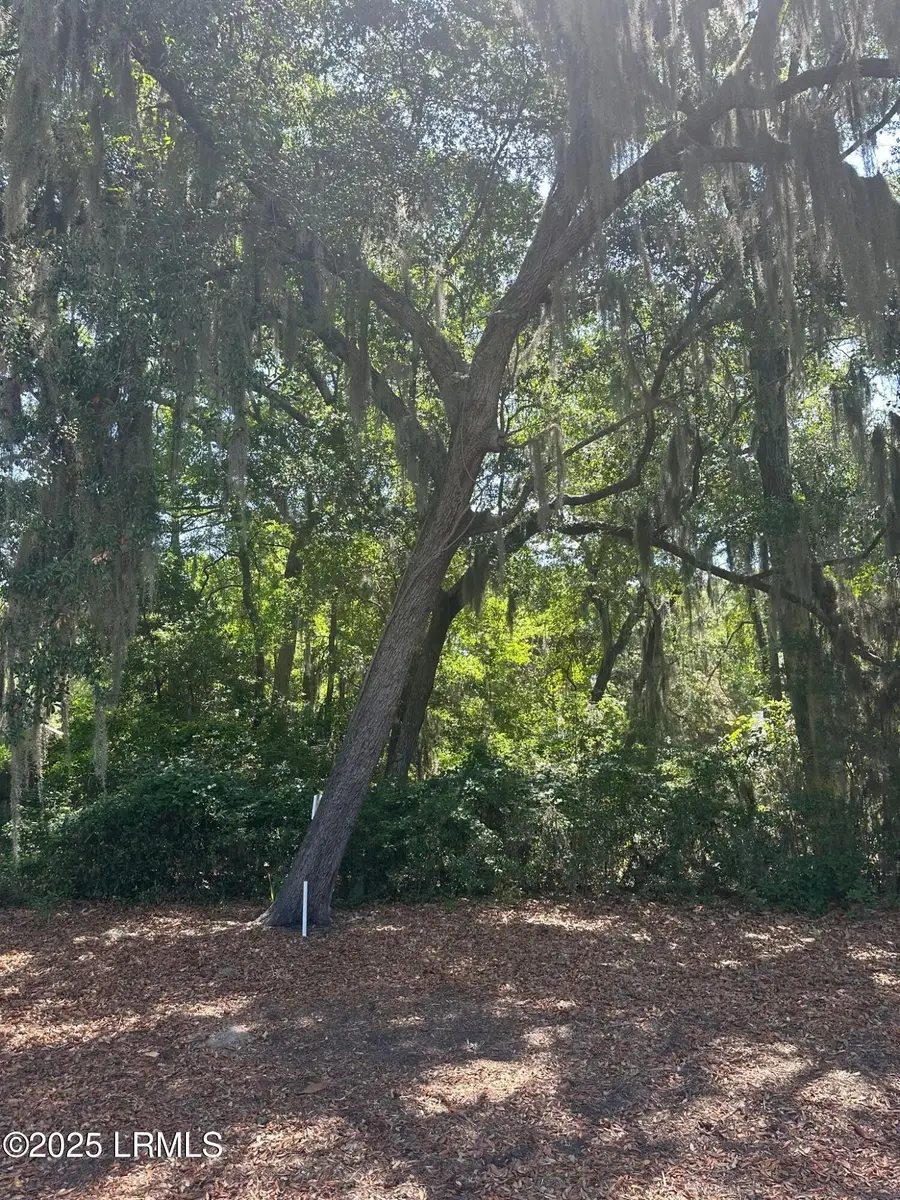 454 Bb Sams Drive, Saint Helena Island, SC 29920 - Image #2