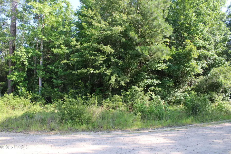 813 Doctor Young Road, Hampton, SC 29924 - Image #2